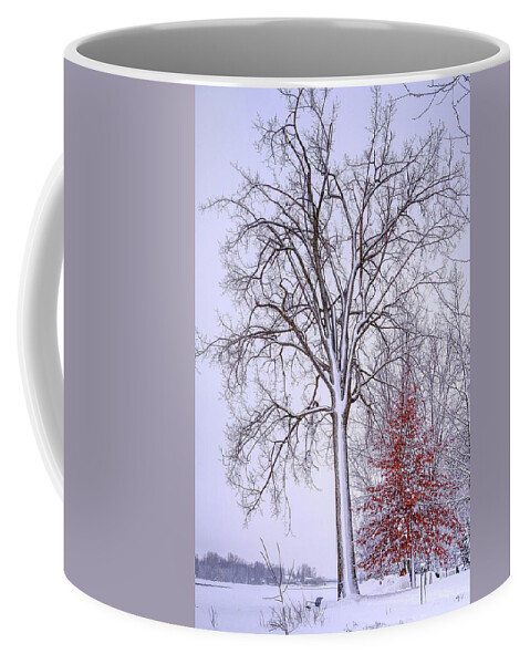 White Coffee Mug featuring the photograph Winter, i don't wanna a lose red by Carl Marceau