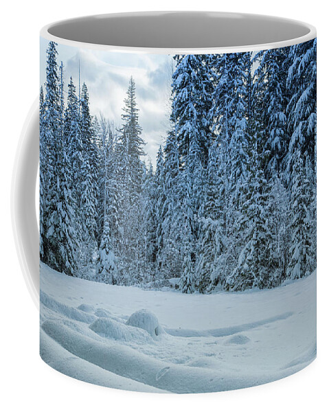 White River Snowshoeing Coffee Mug featuring the photograph Winter in Mt Hood National Forest by Kunal Mehra