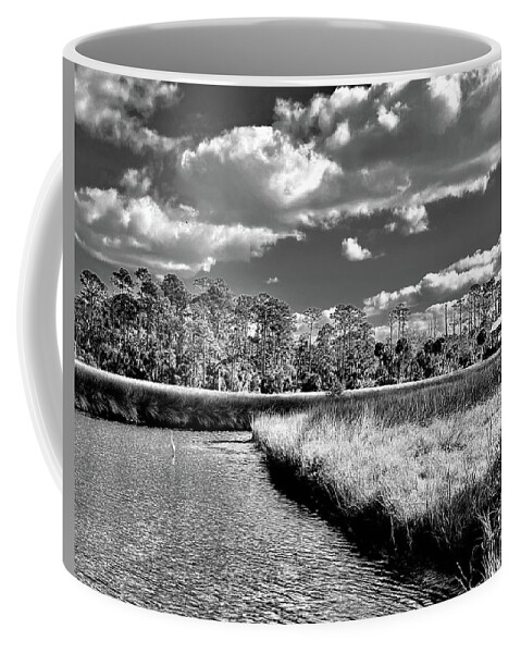 Florida Coffee Mug featuring the photograph Winter in the Marsh Land NE Florida by John Anderson