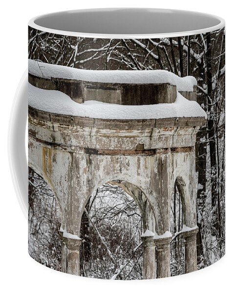 Tibbetts Brook Park Coffee Mug featuring the photograph Winter in Tibbetts Brook Park 2 by Kevin Suttlehan