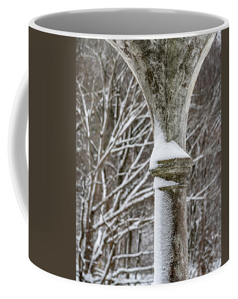 Tibbetts Brook Park Coffee Mug featuring the photograph Winter in Tibbetts Brook Park 3 by Kevin Suttlehan