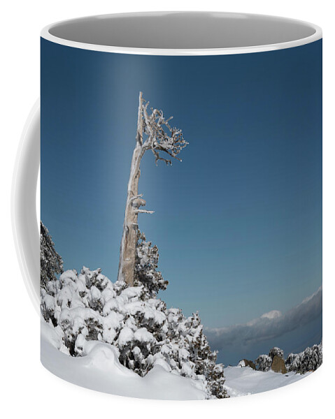Single Tree Coffee Mug featuring the photograph Winter landscape in snowy mountains. frozen snowy lonely fir trees against blue sky. by Michalakis Ppalis