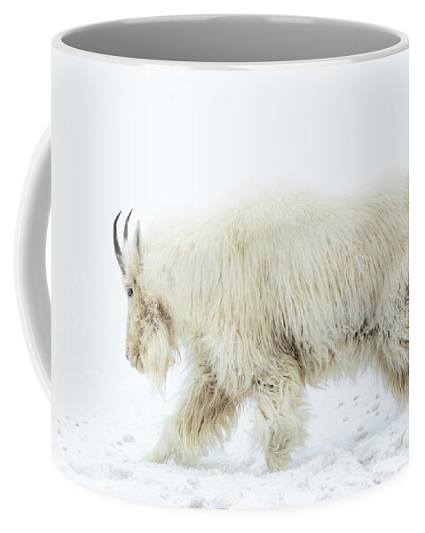 Mountain Goat Coffee Mug featuring the photograph Winter Mountain Goat by Wesley Aston