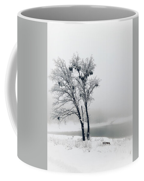 Black And White Coffee Mug featuring the photograph Winter Oak by Steph Gabler