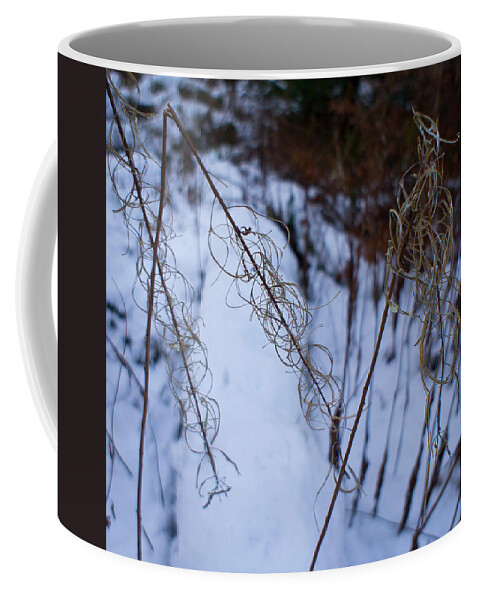 Rosebay Willowherb Coffee Mug featuring the photograph Winter of Fireweed by Elena Perelman