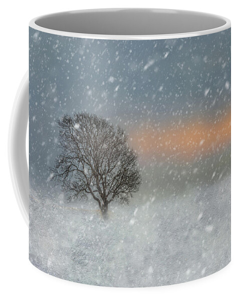 Cold Coffee Mug featuring the photograph Winter snow scene by Sue Leonard