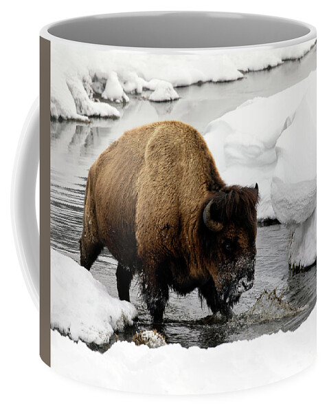 Bison Coffee Mug featuring the photograph Winter Splash by Art Cole