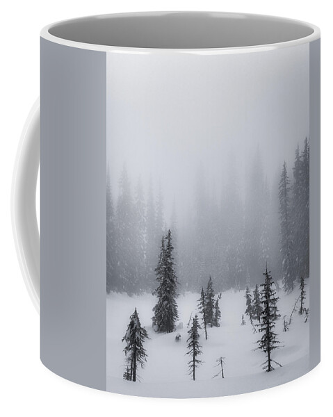 Black And White Photography Coffee Mug featuring the photograph Winter Spruce Black and White by Allan Van Gasbeck