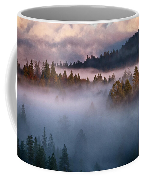 Winter Coffee Mug featuring the photograph Winter Storm 2828 by Tom Kelly