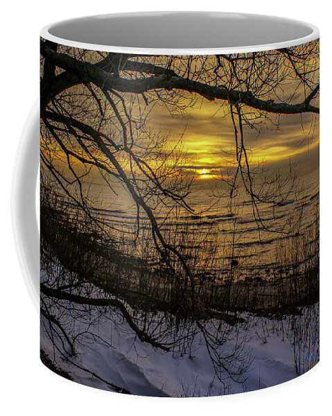 Lake Michigan Coffee Mug featuring the photograph Winter Sunrise Through the Branches by Deb Beausoleil
