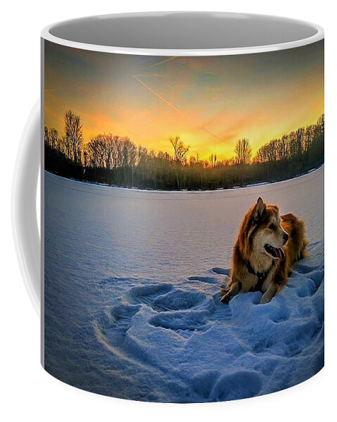  Coffee Mug featuring the photograph Winter Sunset by Brad Nellis