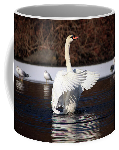 Elegance Coffee Mug featuring the photograph Winter Swan by Karol Livote