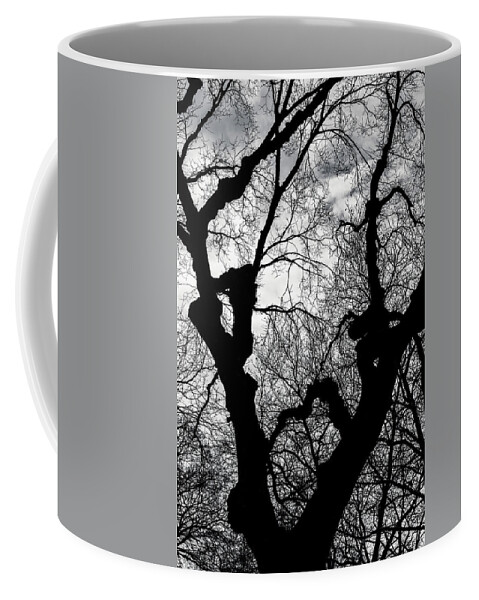 Battery Park Coffee Mug featuring the photograph Winter Tree Sillhouette by Cate Franklyn