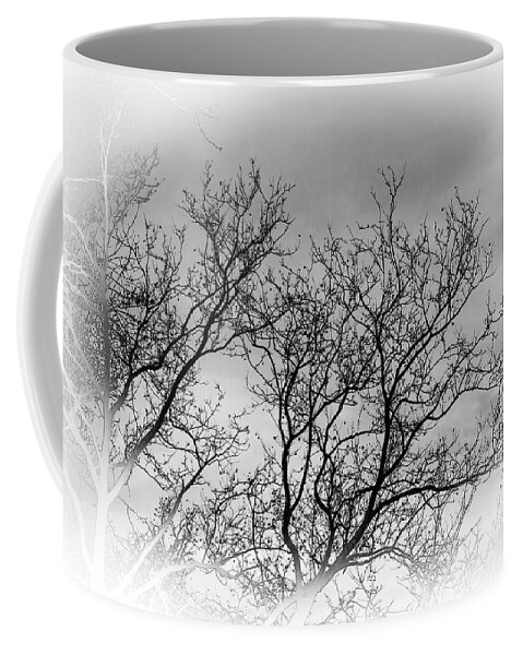 Tree Coffee Mug featuring the photograph Winter Trees by Cate Franklyn