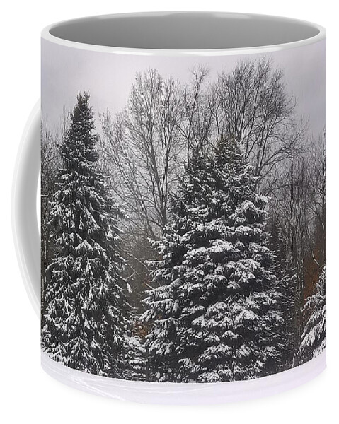 Burton Park Coffee Mug featuring the photograph Winter Walk at Burton Park by Lisa Dionne
