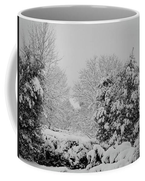 Landscape Coffee Mug featuring the photograph Winter Wonderland by Carol Whaley Addassi