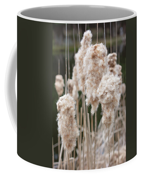 Wintered Cattail Print Coffee Mug featuring the photograph Wintered Cattail Print by Gwen Gibson