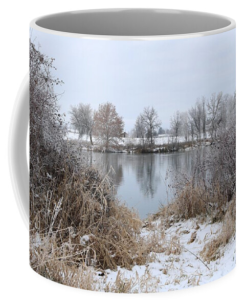 Winter Coffee Mug featuring the photograph Wintry Riverbank by Carol Groenen
