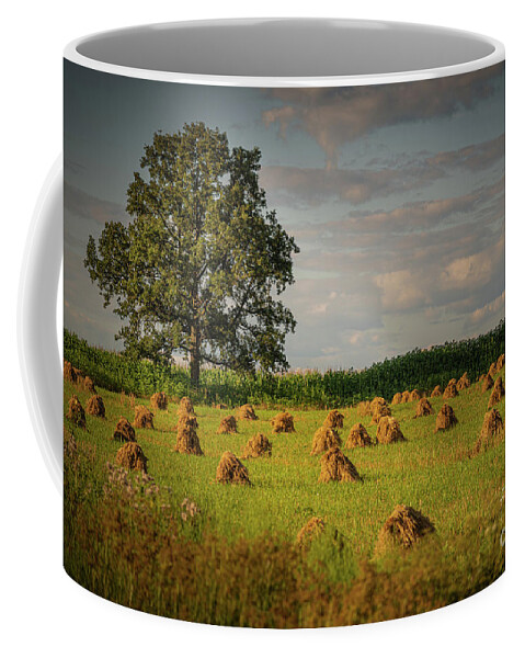 Wheat Coffee Mug featuring the photograph Wisconsin Wheat by Amfmgirl Photography