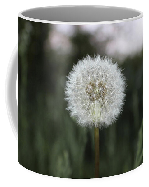 Dandelion Coffee Mug featuring the photograph Wish by Kenneth Pope