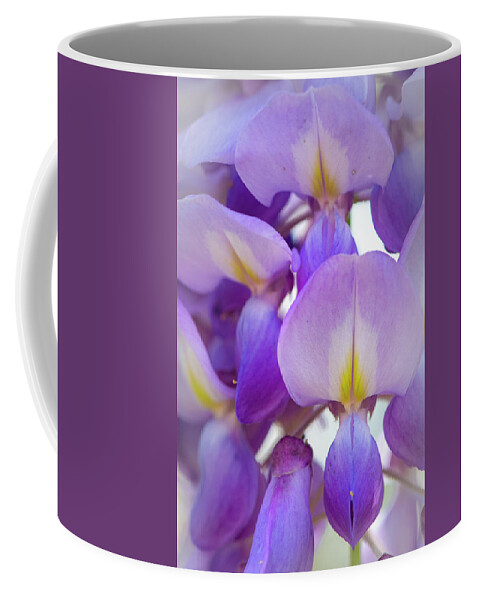 Wisteria Coffee Mug featuring the photograph Wisteria Close Up by Karen Rispin