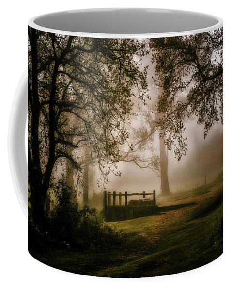 Woods Coffee Mug featuring the photograph Wistful Woodland by Chris Boulton