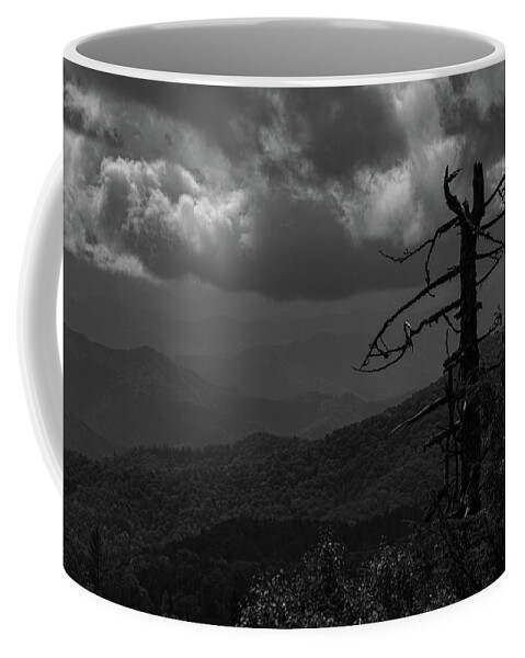 Black And White Coffee Mug featuring the photograph Withered on the Mountain by Jamie Tyler