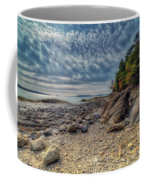 Freeport Maine Coffee Mug featuring the photograph Wolfe Neck Woods by Penny Polakoff