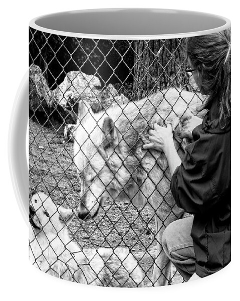 Wolves Coffee Mug featuring the photograph Wolves by Cynthia Dickinson