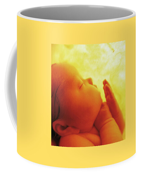 Color Coffee Mug featuring the photograph Womb Series #4 by Anne Geddes