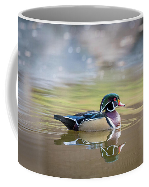Wood Duck Coffee Mug featuring the photograph Wood duck 1 by Stephen Holst