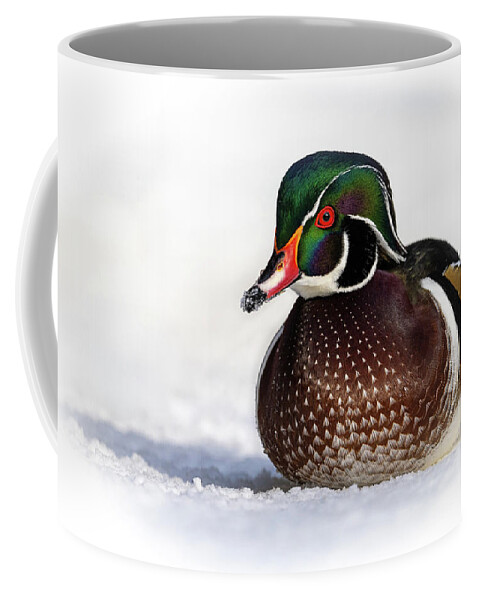 Duck Coffee Mug featuring the photograph Wood Duck in Snow by Bill Cubitt