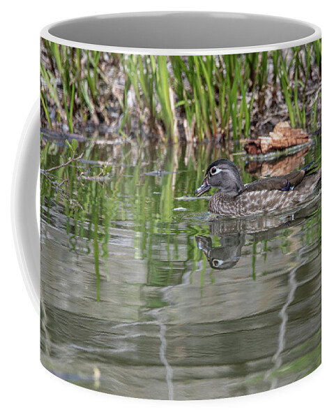 Wood Ducks Coffee Mug featuring the photograph Wood Ducks - 11 by David Bearden