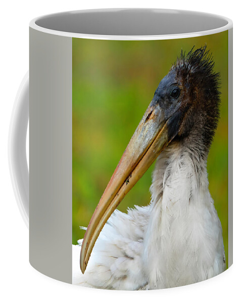 Birds Coffee Mug featuring the photograph Wood Stork 2 by Larry Marshall