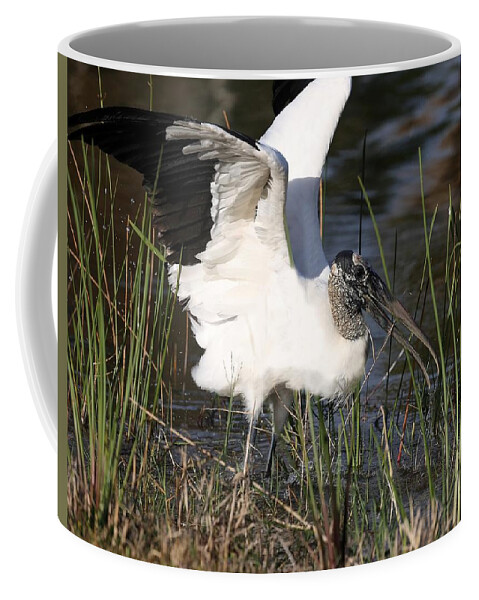 Wood Storks Coffee Mug featuring the photograph Wood stork 3 by Mingming Jiang