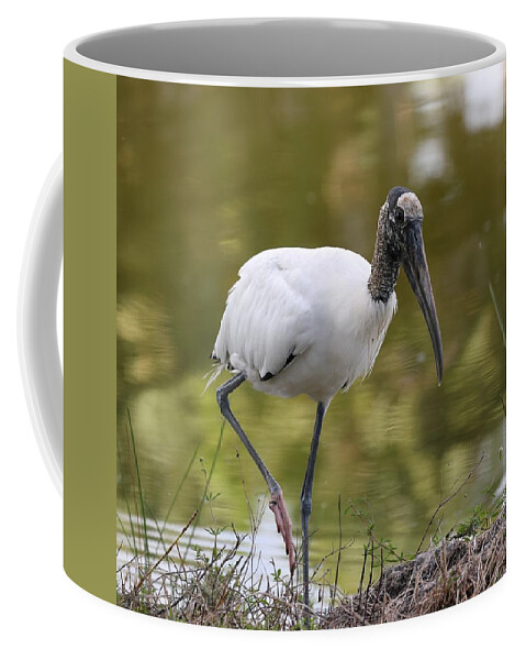 Wood Storks Coffee Mug featuring the photograph Wood stork 5 by Mingming Jiang