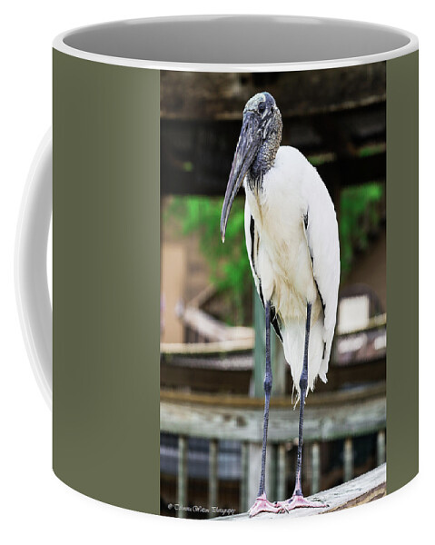 Stork Coffee Mug featuring the photograph Wood Stork by Tahmina Watson