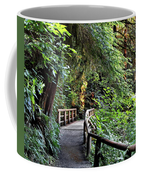 Alex Lyubar Coffee Mug featuring the photograph Wooden bridge on a firest hiking trail by Alex Lyubar