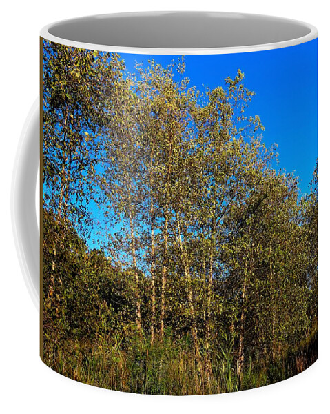 Trees Coffee Mug featuring the photograph Woodlands at Palmyra Nature Cove by Linda Stern