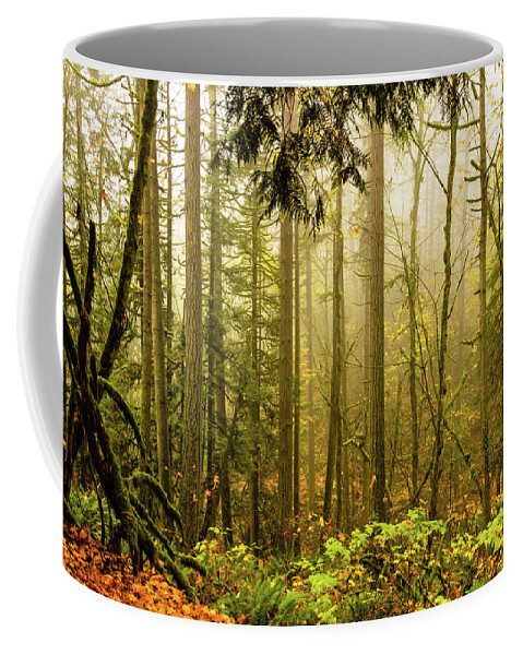 Autumn Coffee Mug featuring the photograph Woods in Autumn by Aashish Vaidya