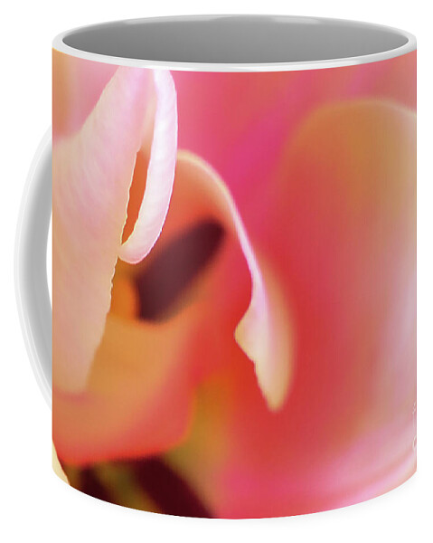 Pink Coffee Mug featuring the photograph Wrapped in Pink by Bentley Davis