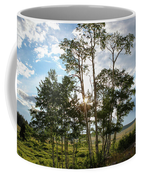 Wyoming Coffee Mug featuring the photograph Wyoming Star by Diane Bohna