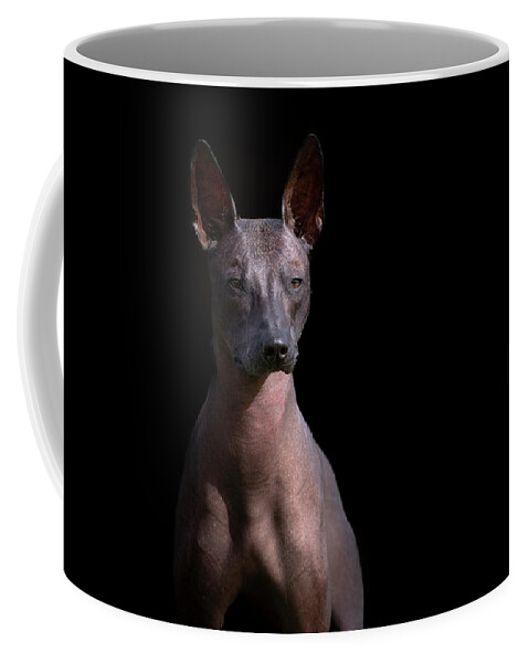 Xoloitzcuintli Coffee Mug featuring the photograph Xoloitzcuintle Portrait on Black by Diana Andersen
