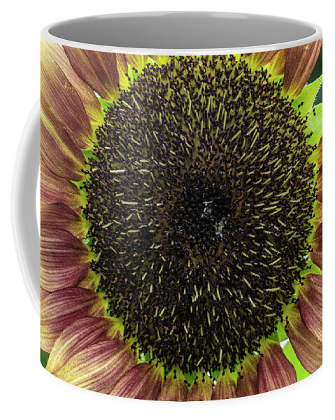 Yellow Red Flower Coffee Mug featuring the photograph Yellow and Red Flower by David Morehead