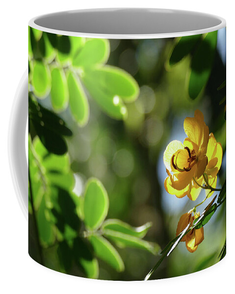 Flowers Coffee Mug featuring the photograph Yellow Brightness by Maryse Jansen