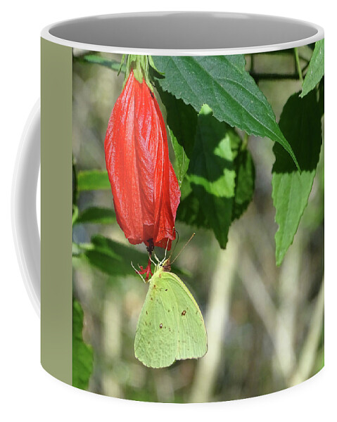 Yellow Coffee Mug featuring the photograph Yellow Butterfly on Red Flower by Teresamarie Yawn