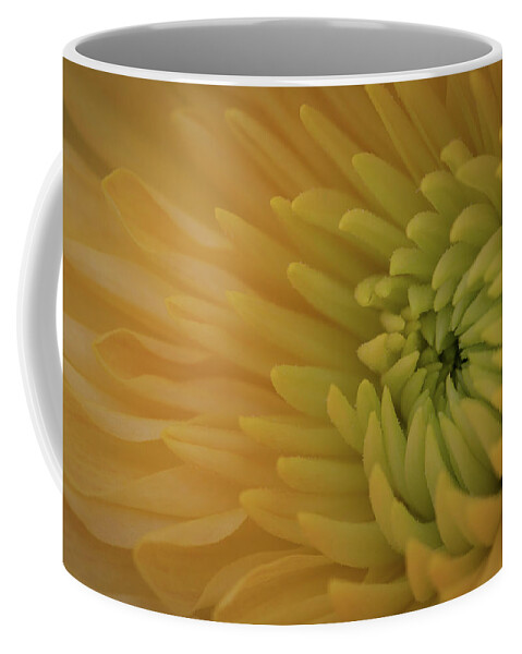 Chrysanthemum Coffee Mug featuring the photograph Yellow Chrysanthemum by Kevin Schwalbe