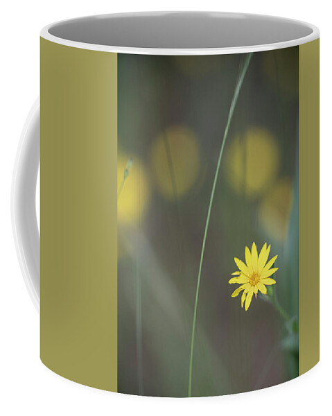 Daisy Coffee Mug featuring the photograph Yellow Daisy Close-up by Karen Rispin