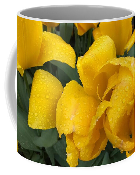 Dew Coffee Mug featuring the photograph Yellow Drops by Mona Remedios Stickley