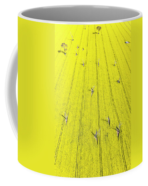 Green Coffee Mug featuring the photograph Yellow Field by Ari Rex